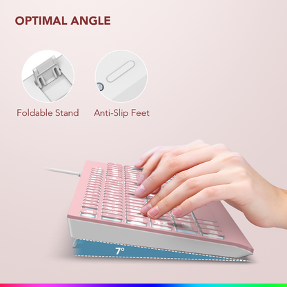 Wagpak Large Print Backlit Keyboard - Wired USB Lighted Computer Keyboard for Laptops,Pink